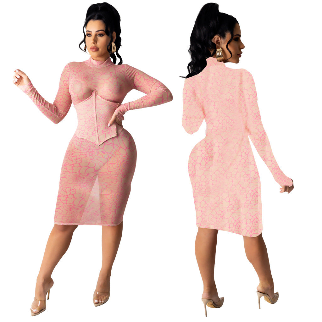 Sexy Nightclub Super Elastic Mesh Dress