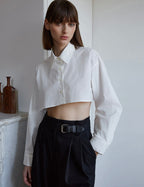 Cardigan preppy sexy pour femme, automne, couleur unie, col polo, simple boutonnage, manches ultra courtes.
