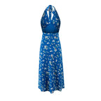 Spring Sexy Vacation Sexy V neck Strap Halterneck Printed Dress PullWind