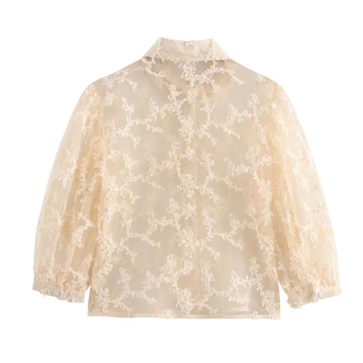 Women Clothing Summer Mesh Loose Slimming See through Puff Sleeve Shirt Goyo
