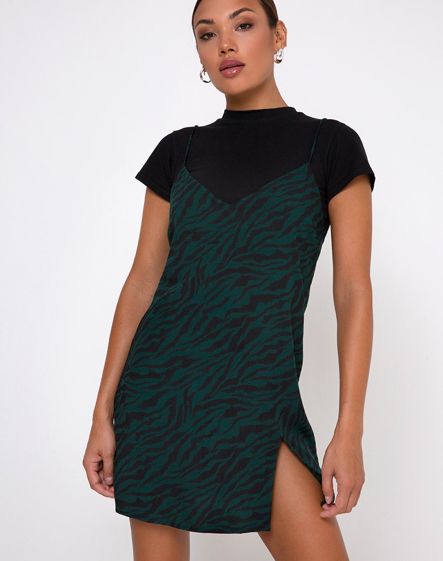 Green Zebra