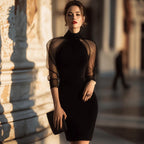 Elegant Slim Long Sleeve Dress High Collar Sheer Mesh Cocktail Evening Dress Venly