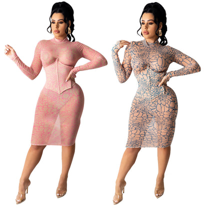 Sexy Nightclub Super Elastic Mesh Dress