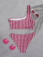 Bikini Pink Striped One Shoulder Tube Top Bikini Sexy Backless Low Waist Split Swimsuit WithWind