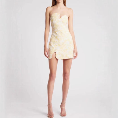 Women Slim Fit Skinny Sexy Niche Dress