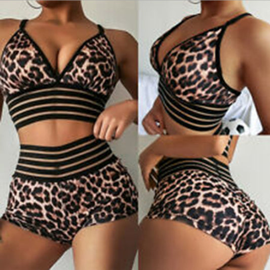 Bikini sexy con estampado de leopardo y cintura alta para mujer, traje de baño separado