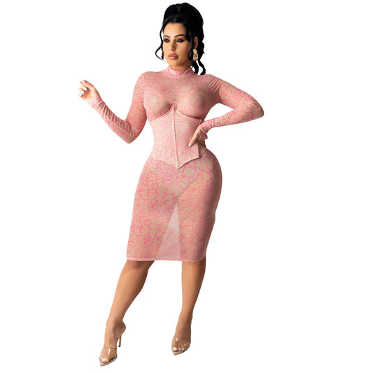 Sexy Nightclub Super Elastic Mesh Dress